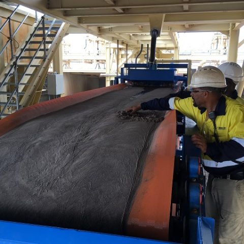IRON ORE CONCENTRATE